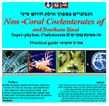 ����� �������� ����� �������<>Non-coral coelenterates