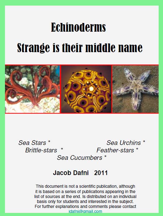 Strange is their middle name