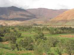 Morroco_20081024_469.JPG