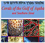 ����� ������� ���� ����<>Guide to Eilat Gulf Corals