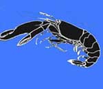 נקשן <> Snapping shrimp
