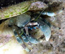 Photo: L. Lev; See a larger photo