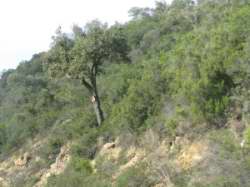 Morroco_20081020_126.JPG
