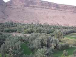 Morroco_20081022_365.JPG