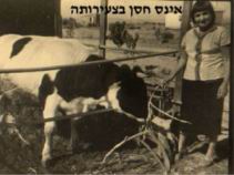 1965.jpg