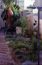 1992y.JPG