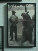 2000_13.jpg
