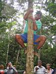 Amazonia_043.JPG
