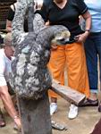 Amazonia_046.JPG