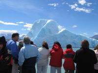 Calafate_31.JPG