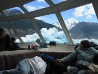 Calafate_35.JPG