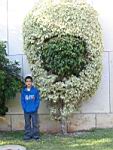 IMG_20070201_0001.JPG