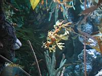 IMG_5388.JPG