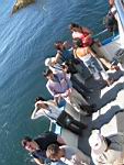 IMG_5690.JPG