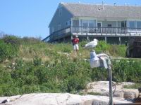 IMG_5692.JPG