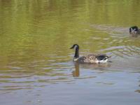 IMG_5719.JPG