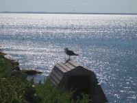 IMG_5723.JPG
