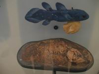 IMG_6223.JPG